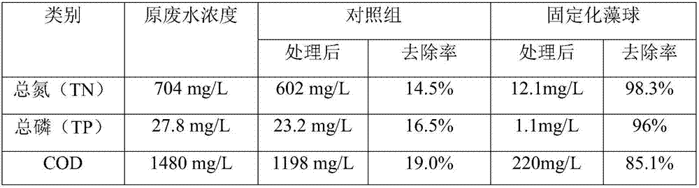 Micro-algae ball and immobilization method