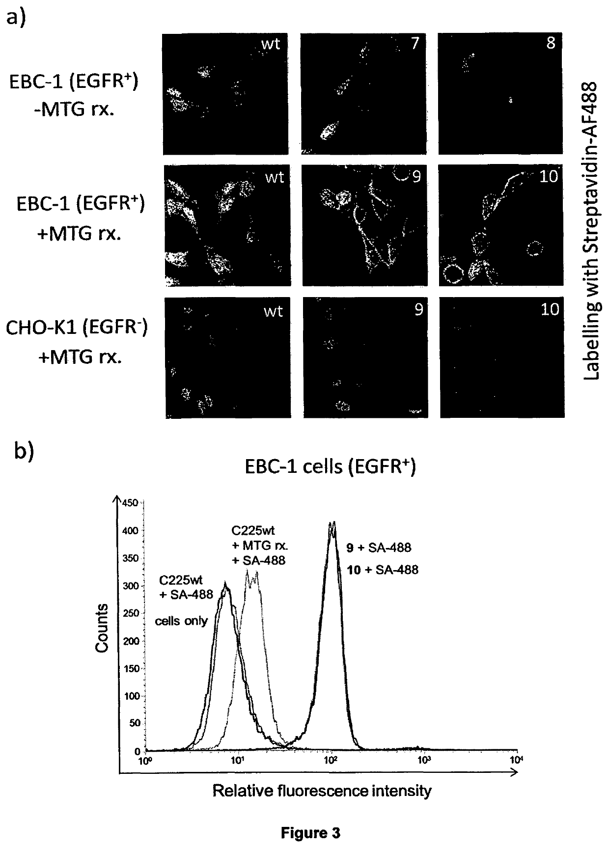 Transglutamine tag for efficient site-specific bioconjugation