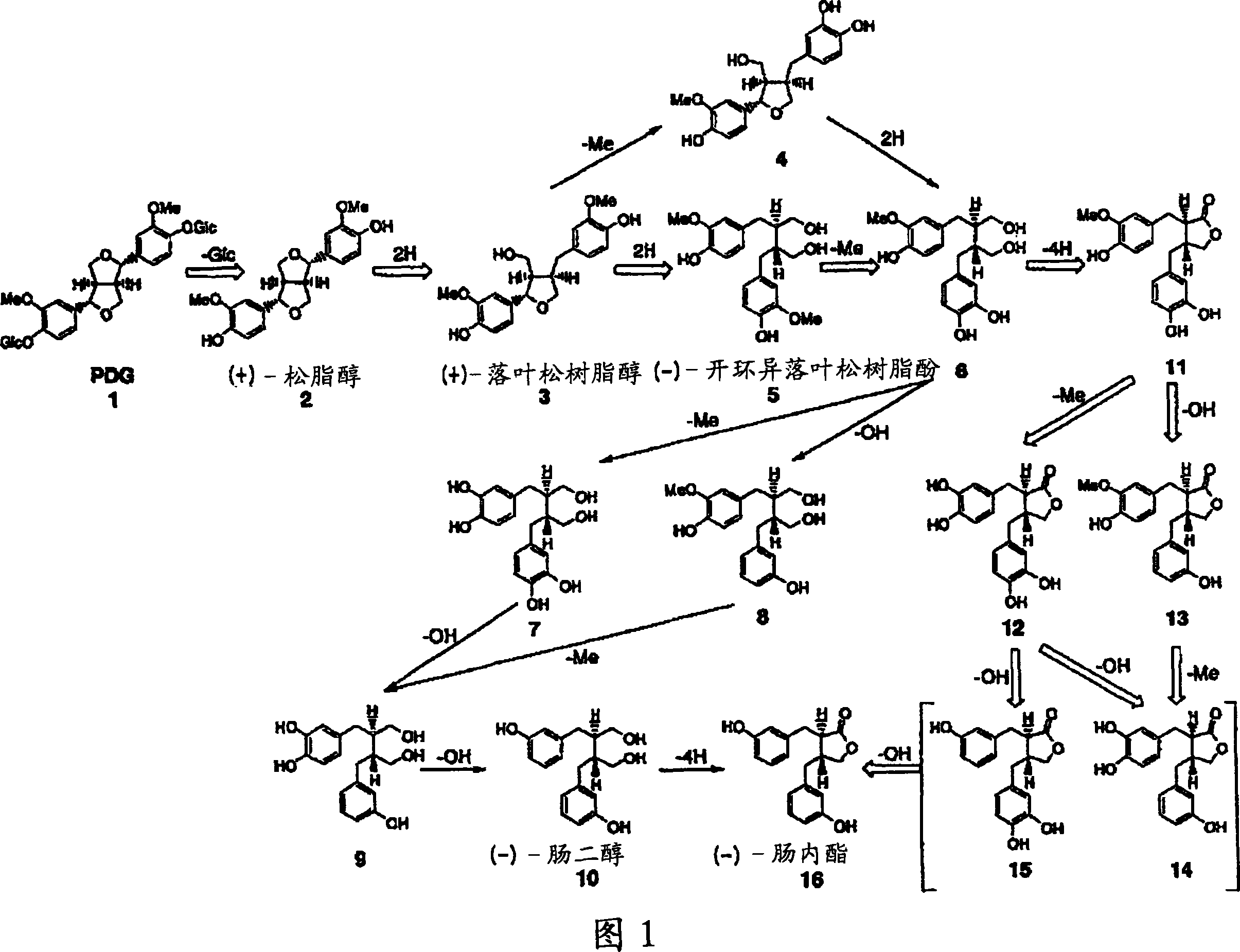 Prophylactic/ameliorating agent for menopausal disorder and functional beverage/food