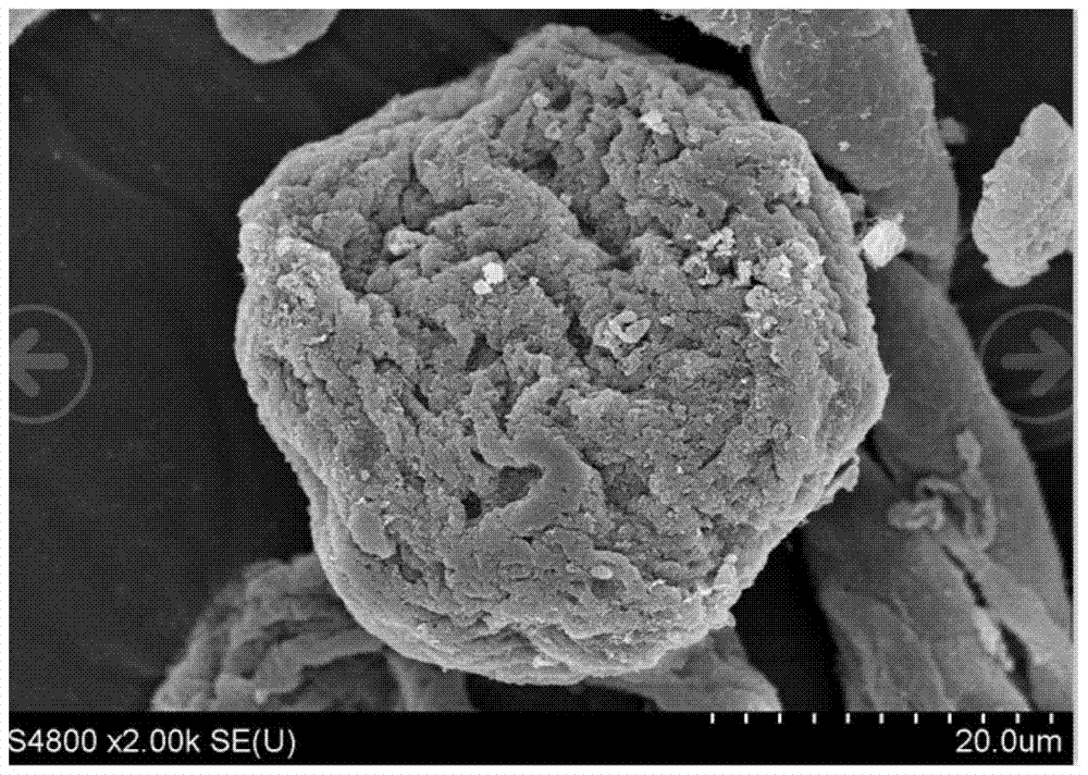 Microspheres and their application in wound hemostasis