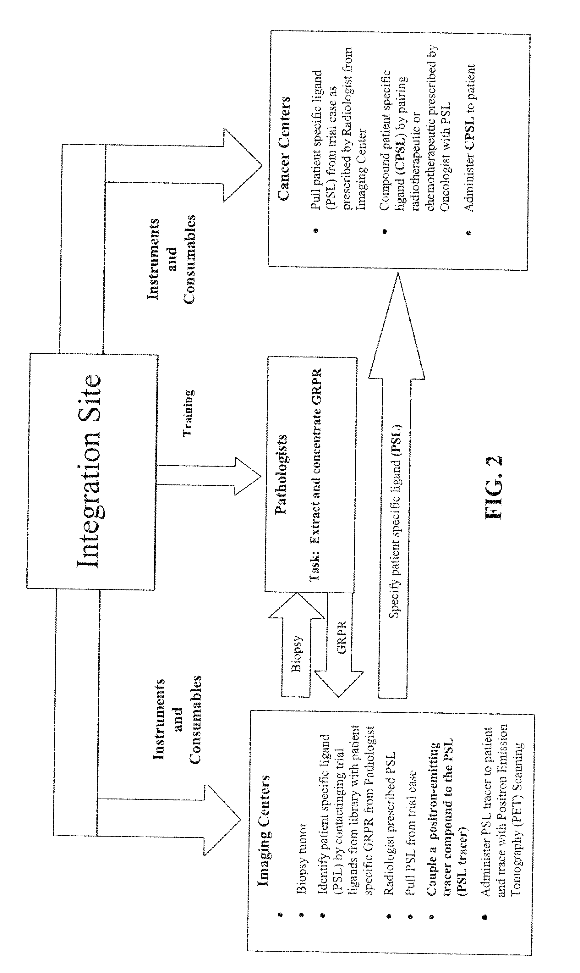 Method, compositions and classification for tumor diagnostics and treatment