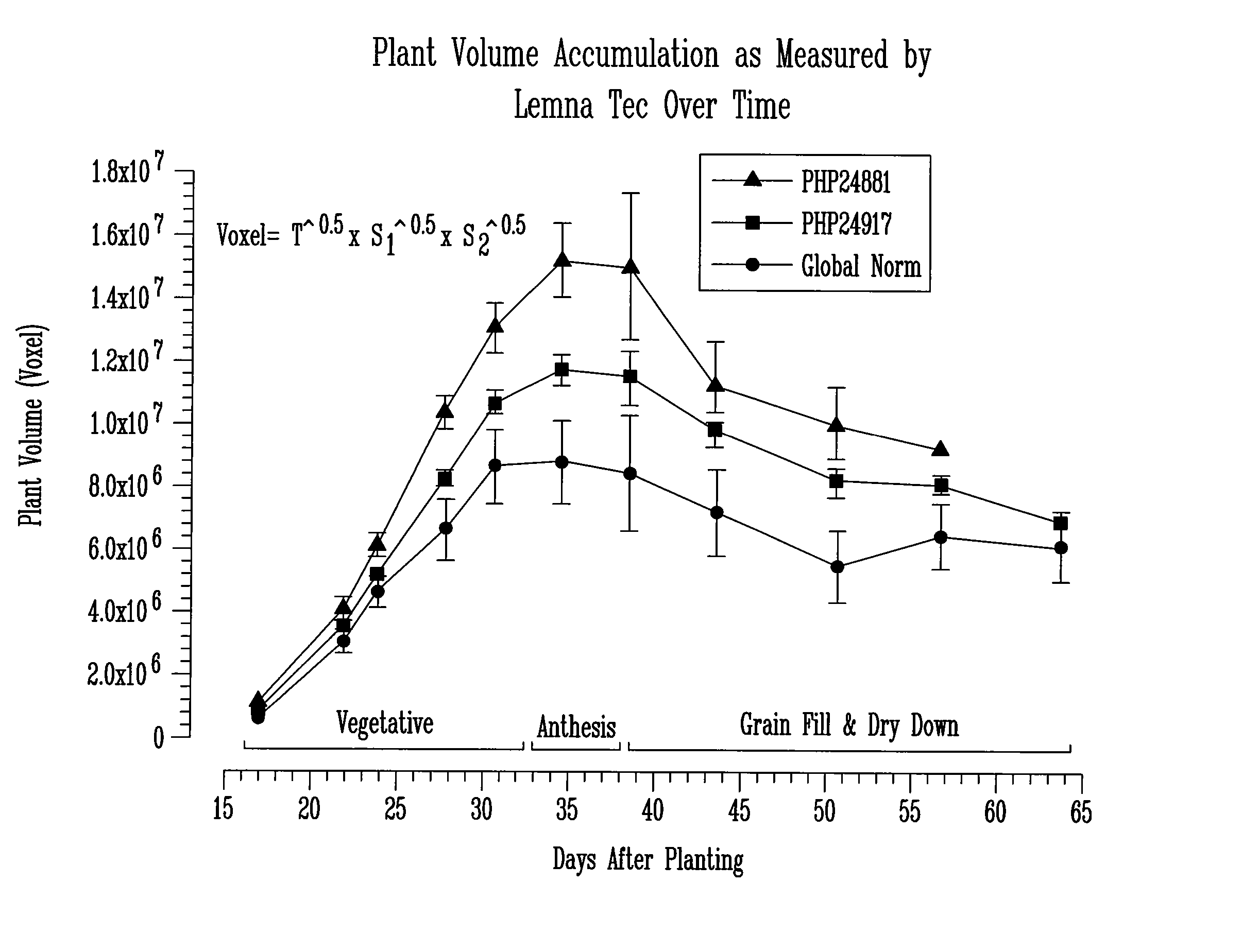 Method for high throughput transgene function analysis for agronomic traits in maize