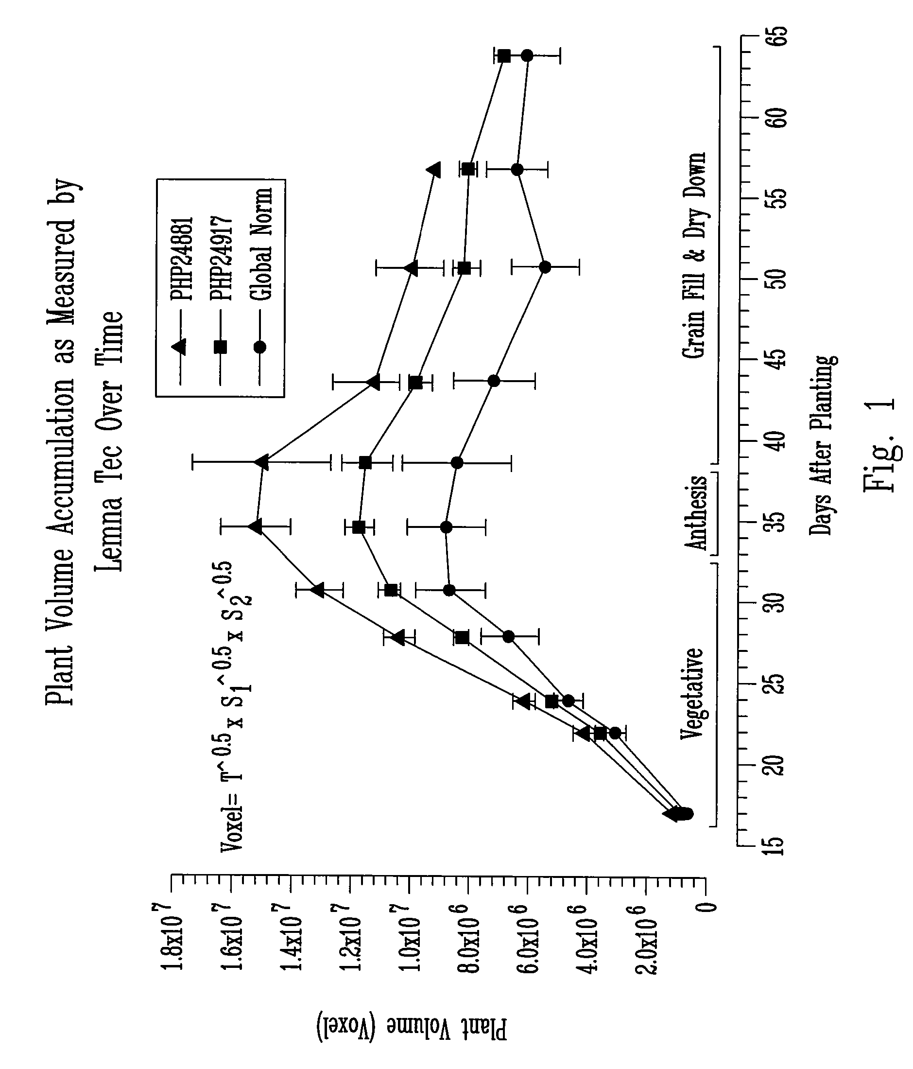 Method for high throughput transgene function analysis for agronomic traits in maize