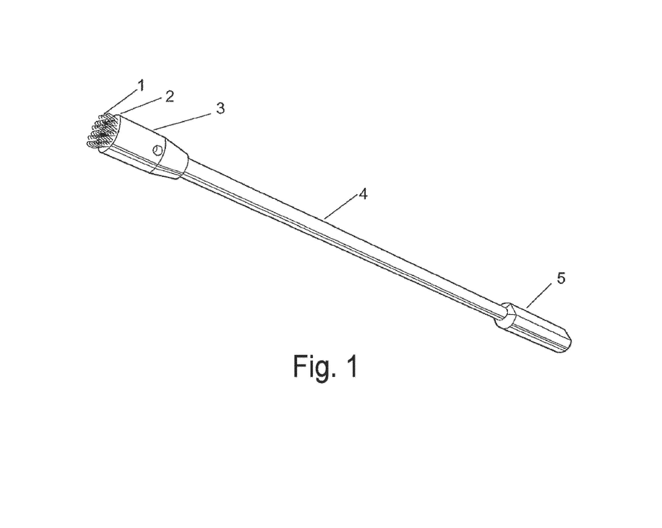 Frictional trans-epithelial tissue disruption collection apparatus and method of inducing an immune response