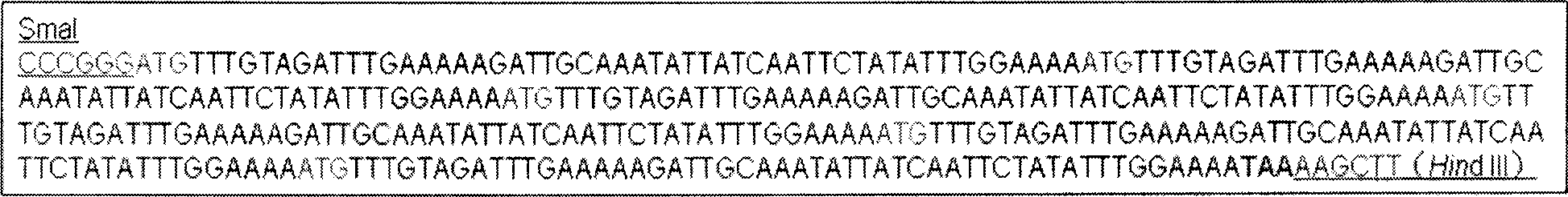 Novel antibacterial peptide and preparation method and use thereof