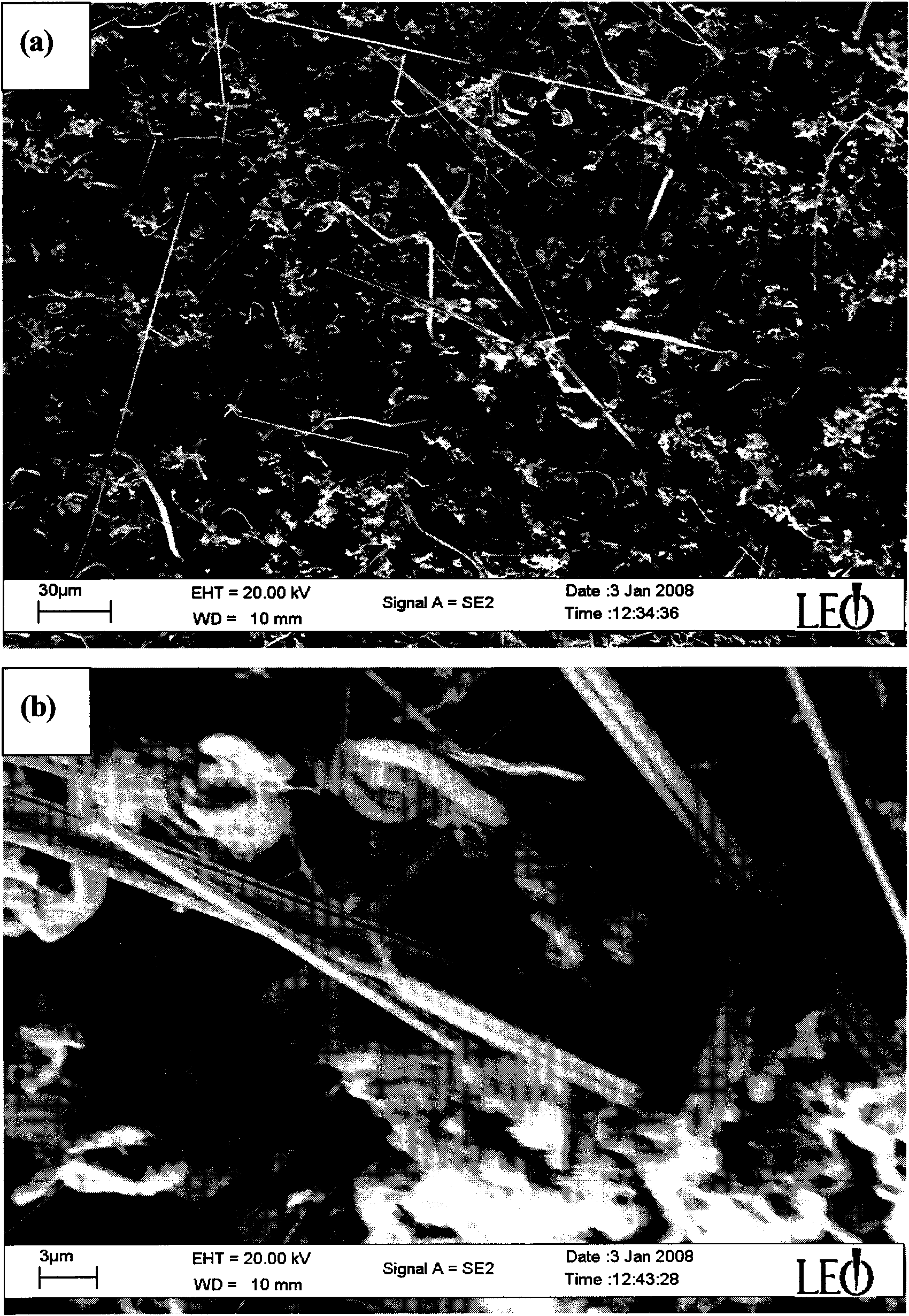 Method for preparing Sn crystal whiskers