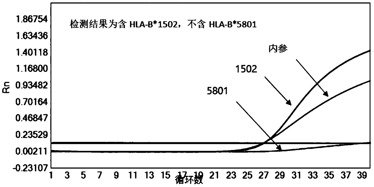 Reagent kit and method for quickly and efficiently detecting polymorphism of drug-induced skin adverse reaction related genes