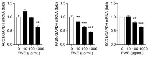 Application of fresh dendrobe aqueous extract in preparation of drugs for treating metabolic diseases