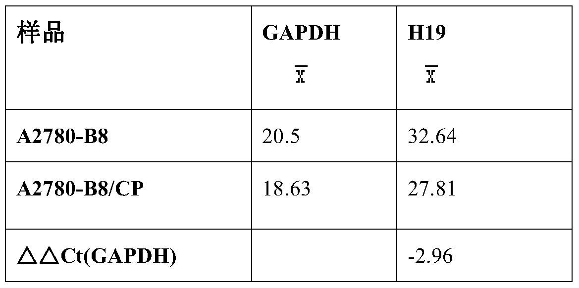 Correlation between long non-coding RNA H19 and resistance to platinum-based chemotherapy drugs in cancer