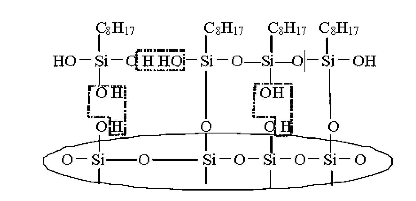 Penetration type transparent concrete protection paint and preparation method thereof