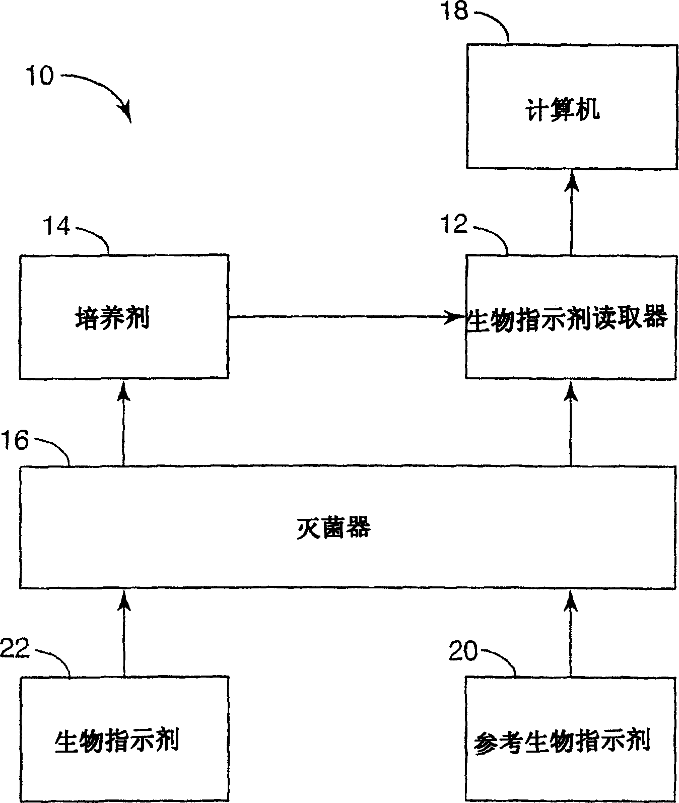 High throughput biological indicator reader