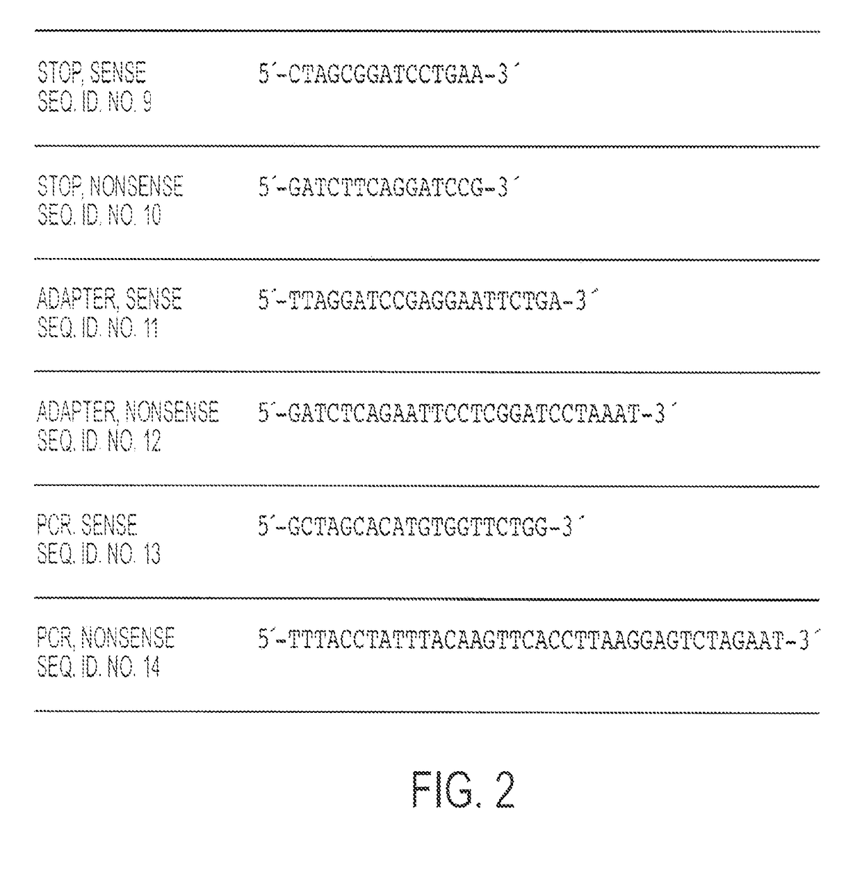 CR-2 binding peptide P28 as molecular adjuvant for DNA vaccines