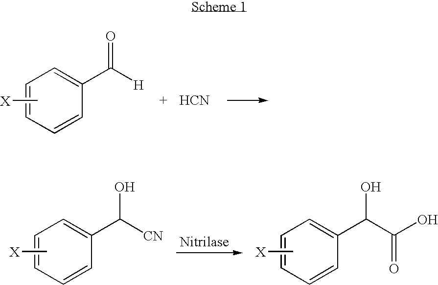 Identification Of A Nitrilase From B. Japonicum By Rational Genome Mining And Methods Of Use