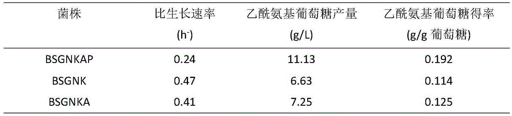 Recombinant bacillus subtilis for efficiently synthesizing acetylglucosamine