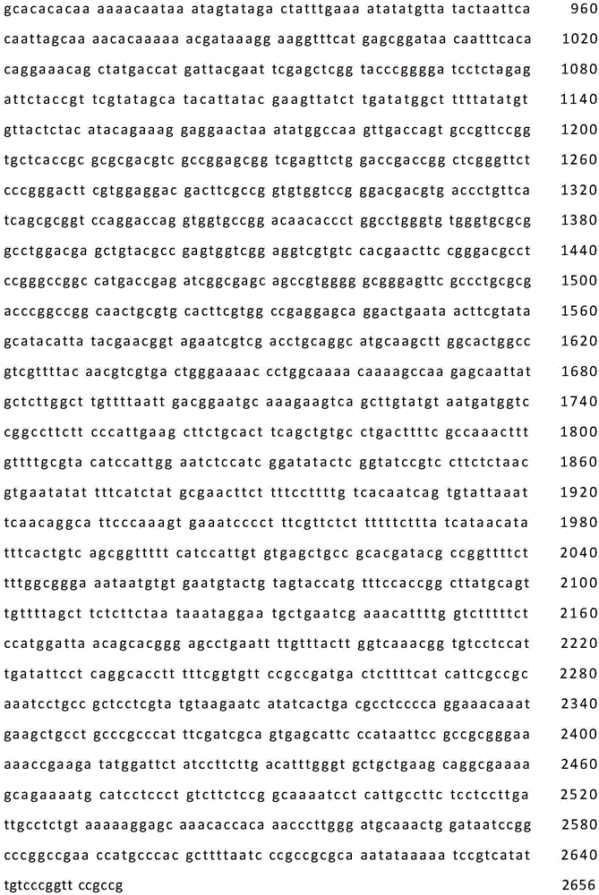 Recombinant bacillus subtilis for efficiently synthesizing acetylglucosamine