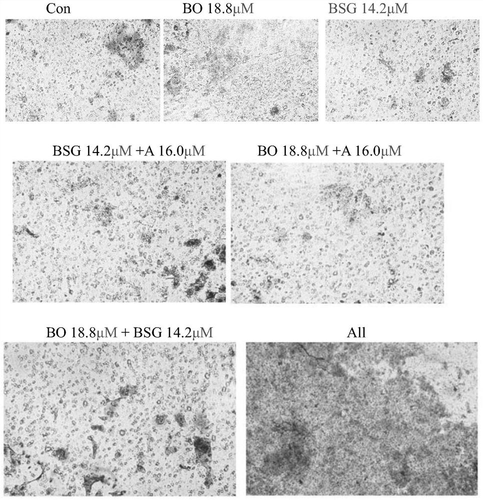 Chronic wound healing composition and application thereof