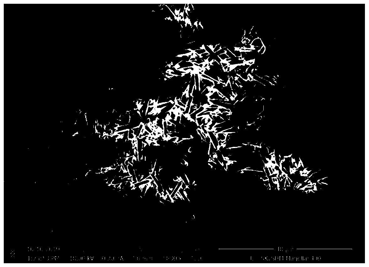 Preparation method of organic-inorganic hybrid halide micro-nano tubes