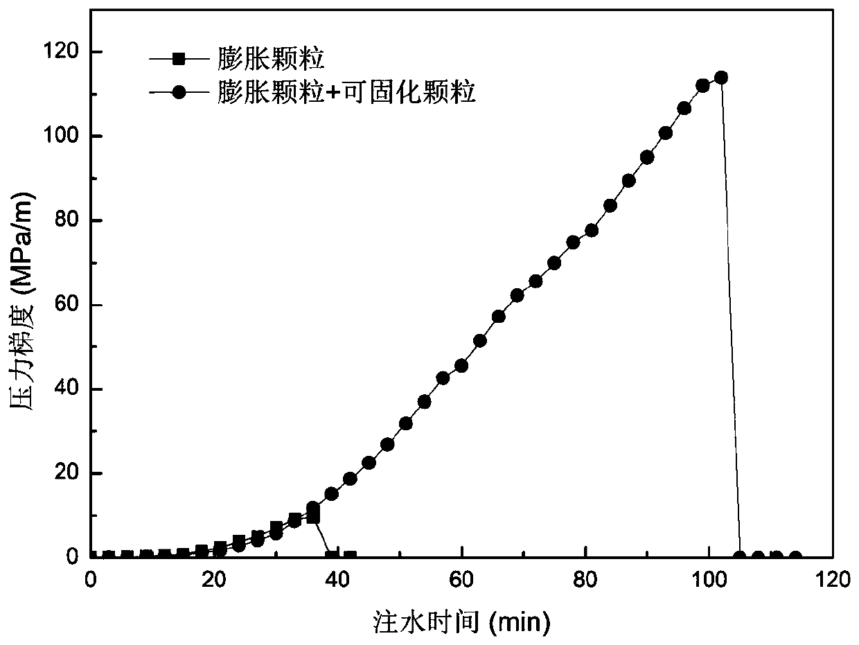 Crack plugging agent based on expansion particles and solidifiable particless