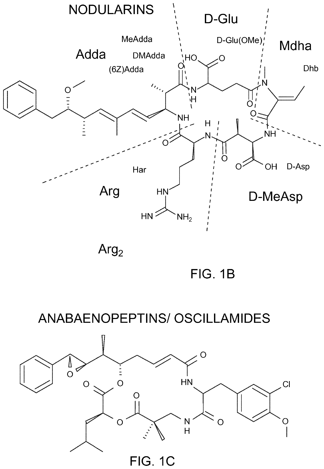 Method for modifying microcystins and nodularins