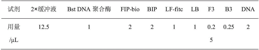 A method for the detection of the characteristic fungus Amorphotheca resinae in jet fuel