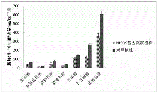 Tobacco squalene synthase protein, tobacco squalene synthase gene and application thereof