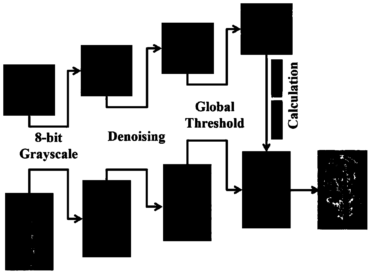 In-situ visual determination method for enzyme activity in plants under environmental stress