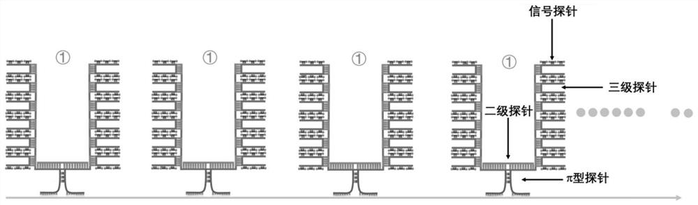 π-fish localized single-molecule probe composition and its application in nucleic acid in situ detection