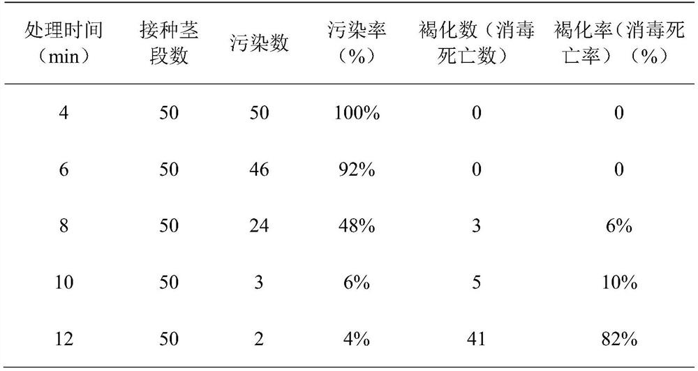 Method for separating and breeding pure-color dendrobium flowers