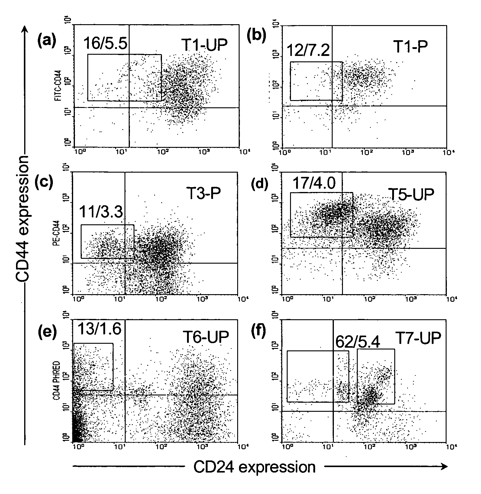 Compositions and methods for treating and diagnosing cancer