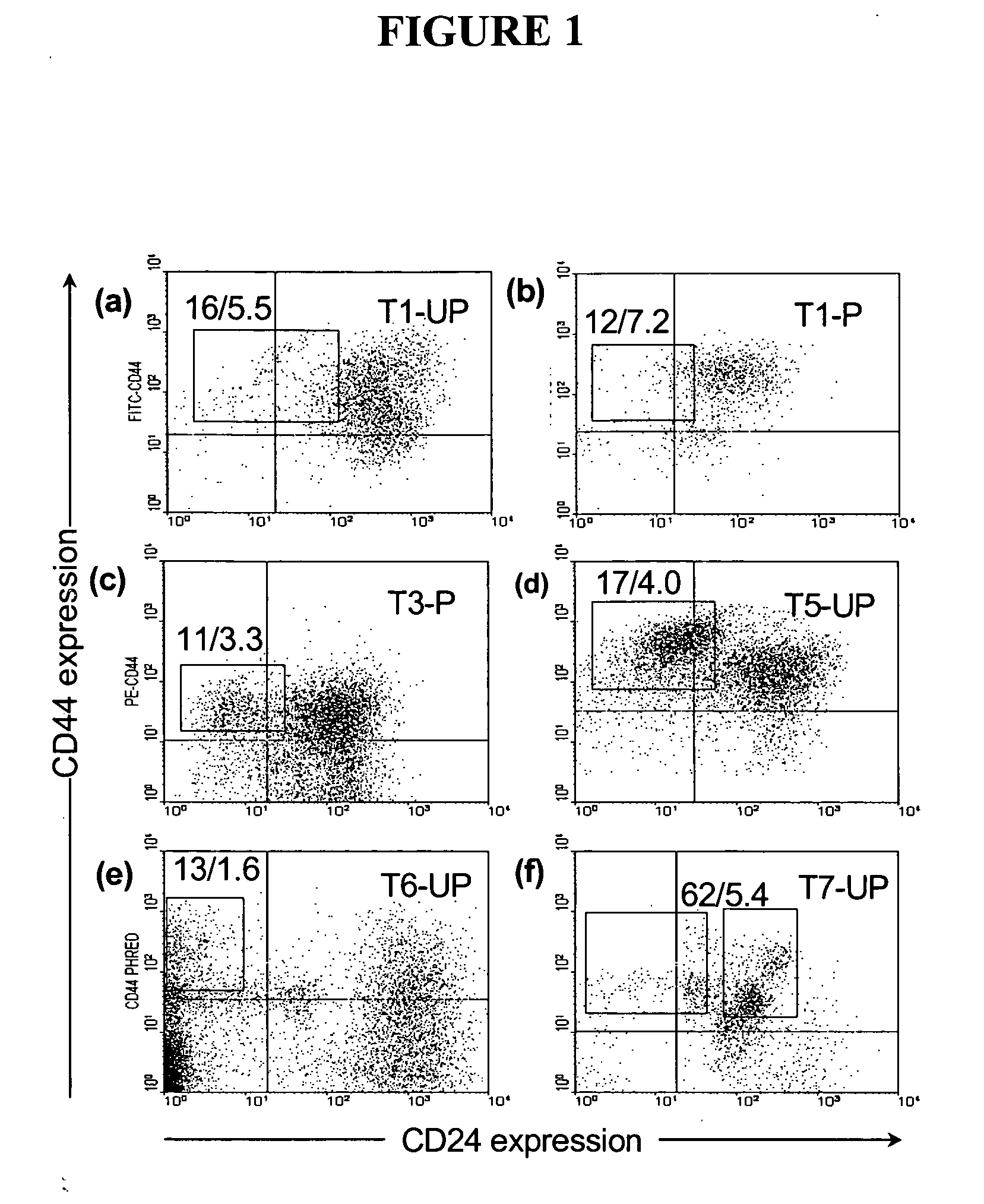 Compositions and methods for treating and diagnosing cancer