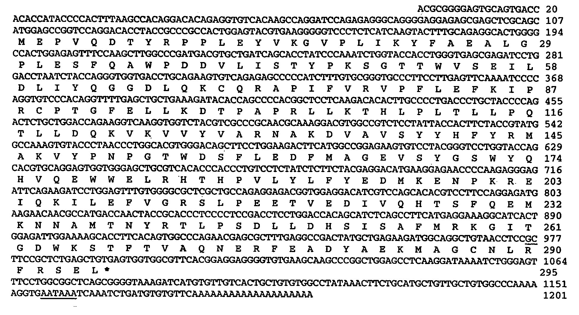 Genetic markers for skatole metabolism