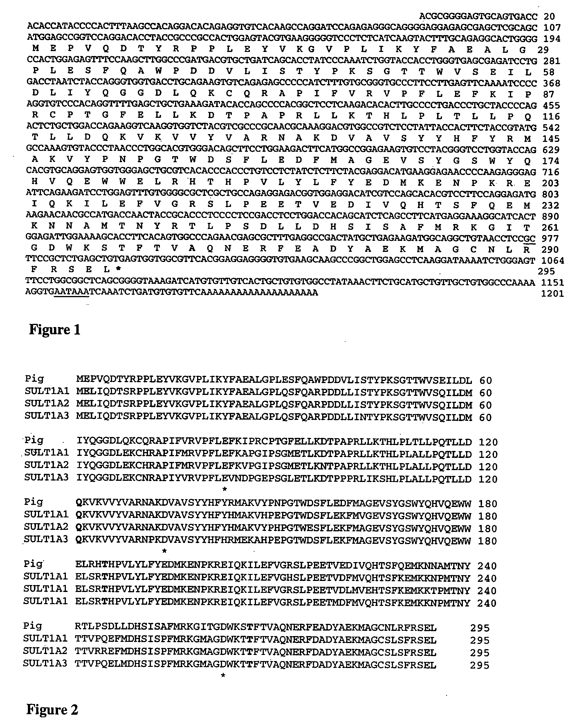 Genetic markers for skatole metabolism