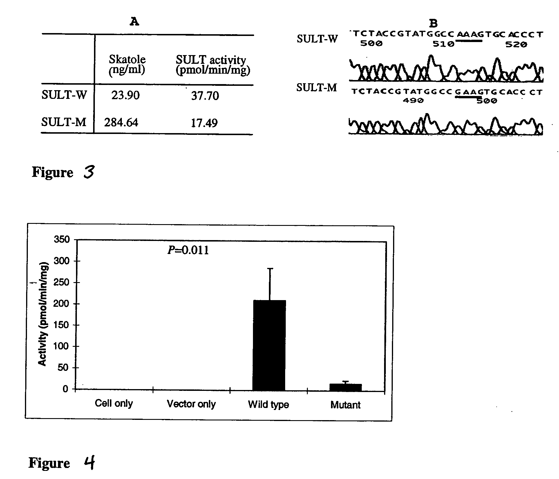 Genetic markers for skatole metabolism