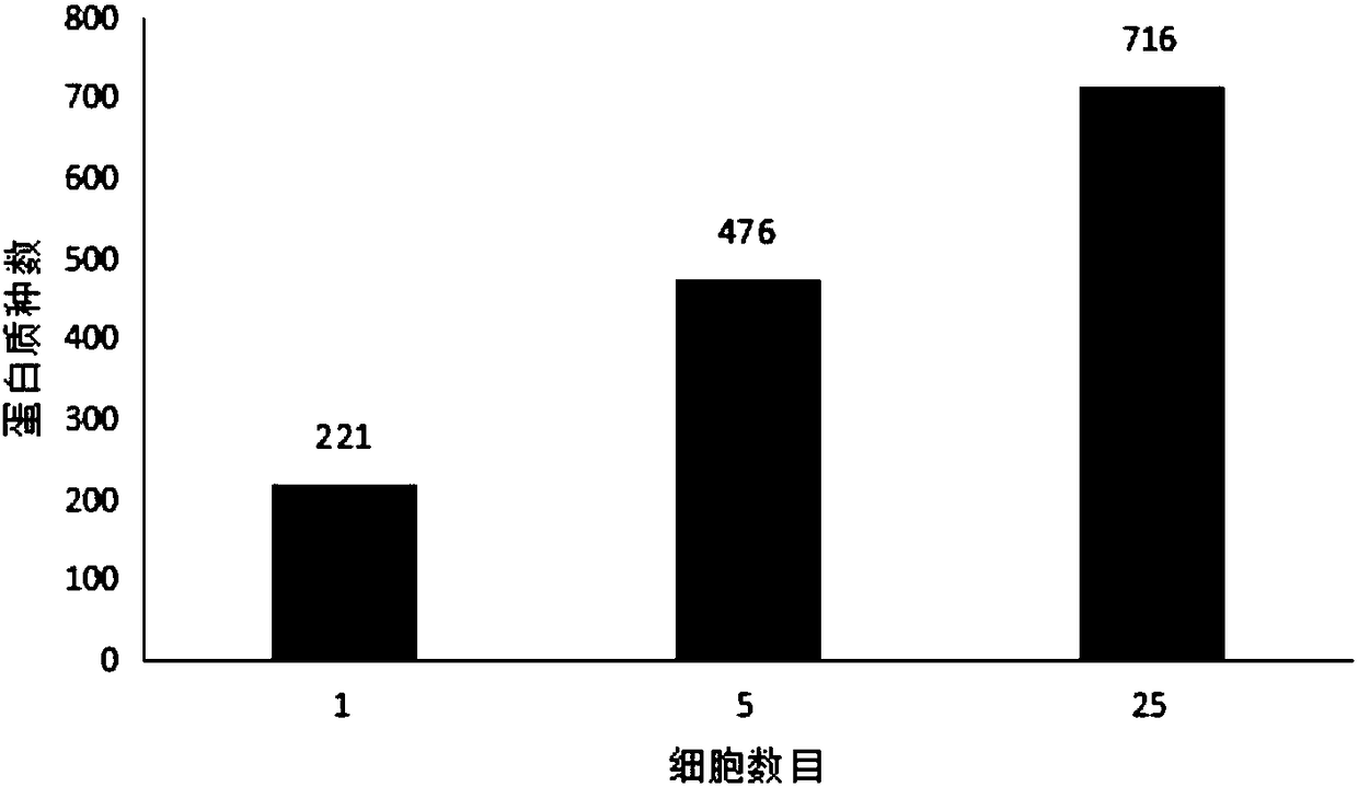 Method for efficiently enriching cell protein of buffalo