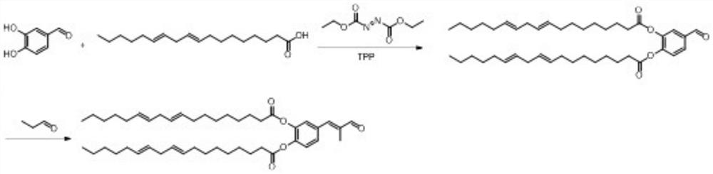 A kind of preparation method and application of bio-based deodorant