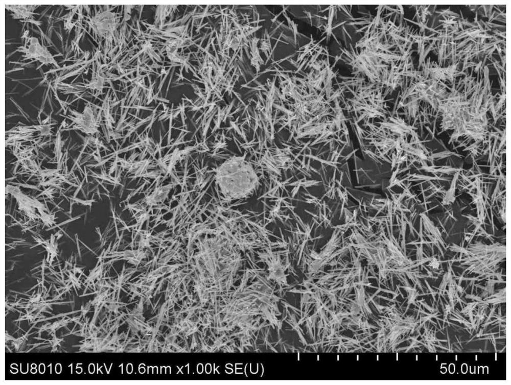 Nanofiber-cluster-shaped bismuth vanadate gas-sensitive material and preparation method thereof