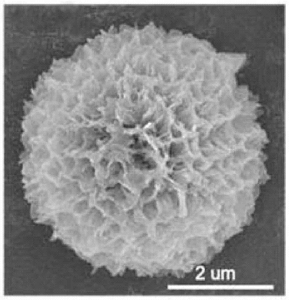 Graphite phase carbon nitride porous microsphere and preparation method thereof