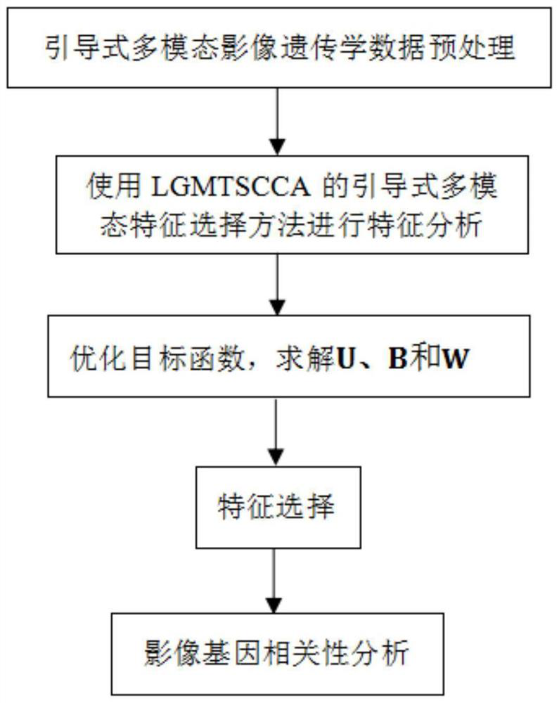 Guided multi-modal image genetics data feature analysis method