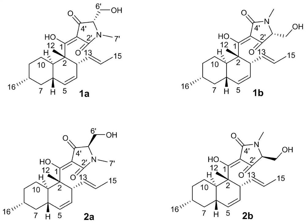 Application and Extraction Method of Iquiamycin Compounds in Anti-Tobacco Red Spot