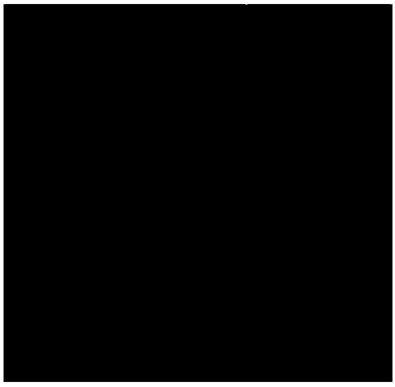 Chinese fir chip-based supercapacitor electrode, preparation method and supercapacitor