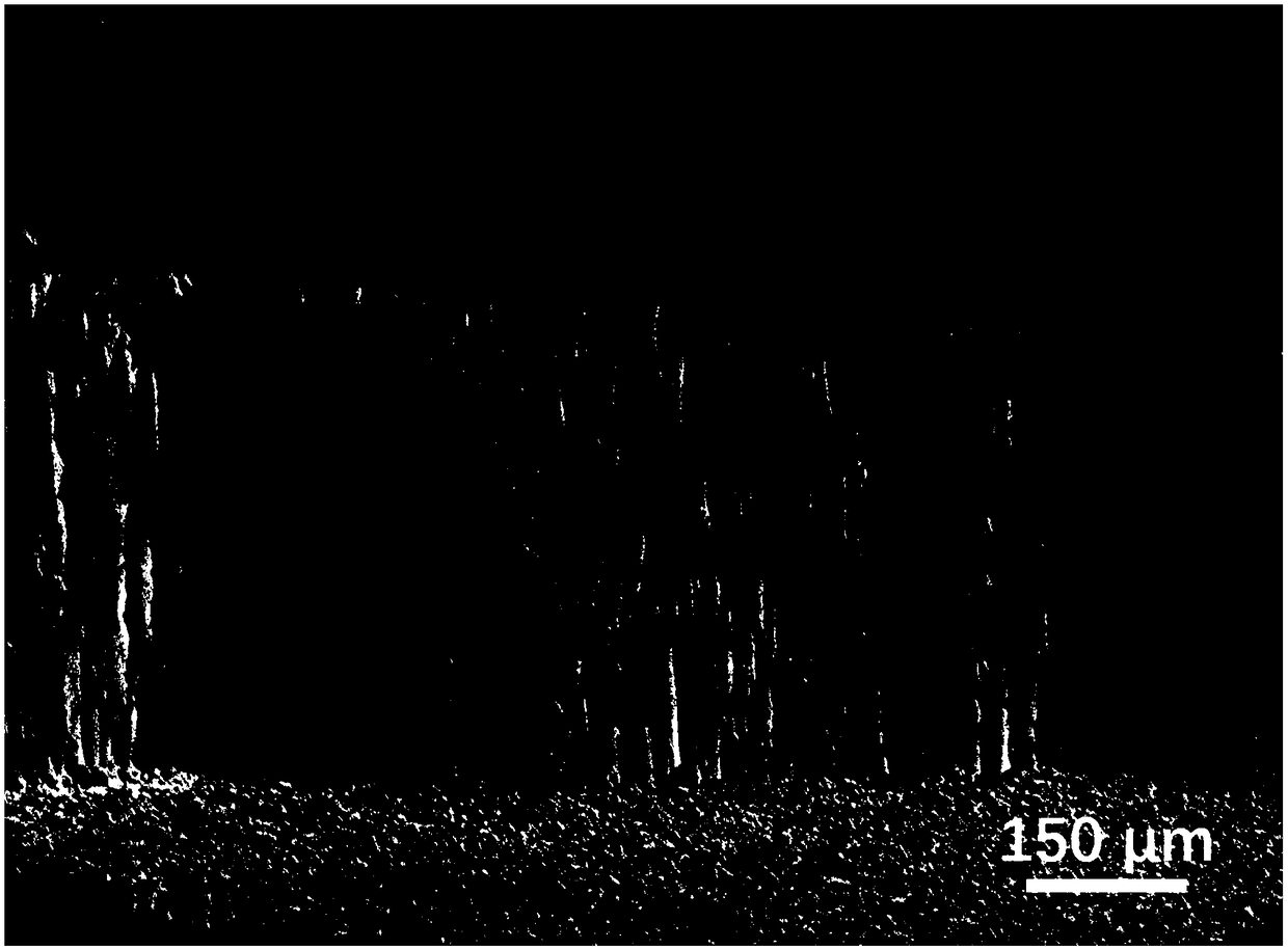 Chinese fir chip-based supercapacitor electrode, preparation method and supercapacitor