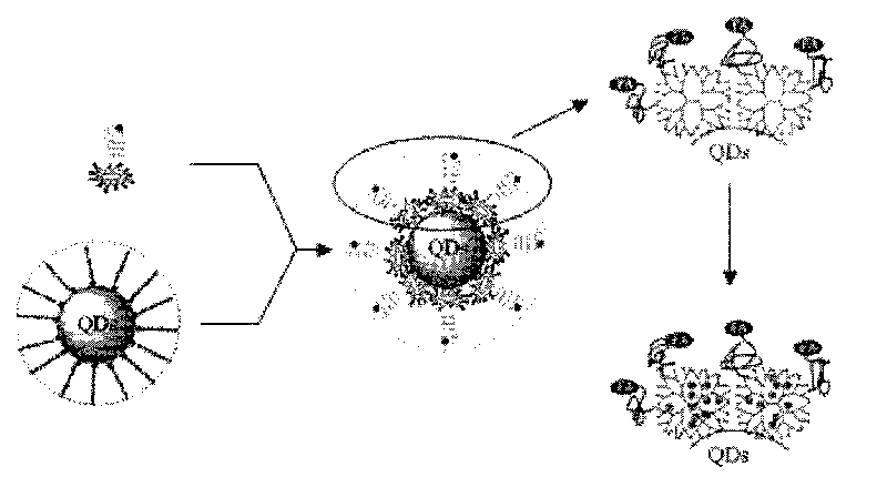 Method for preparing medical nanoparticles