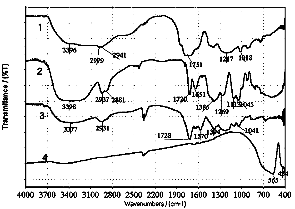 Method for preparation of rime-like titanate by taking organic matters in methacrylic acid wastewater as template agent