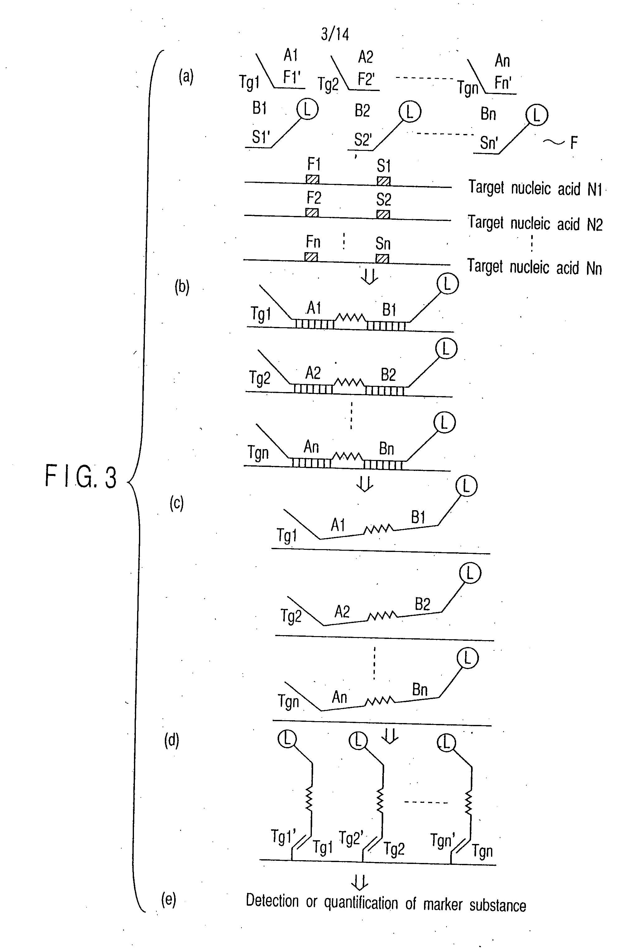 Method of detecting nucleic acid