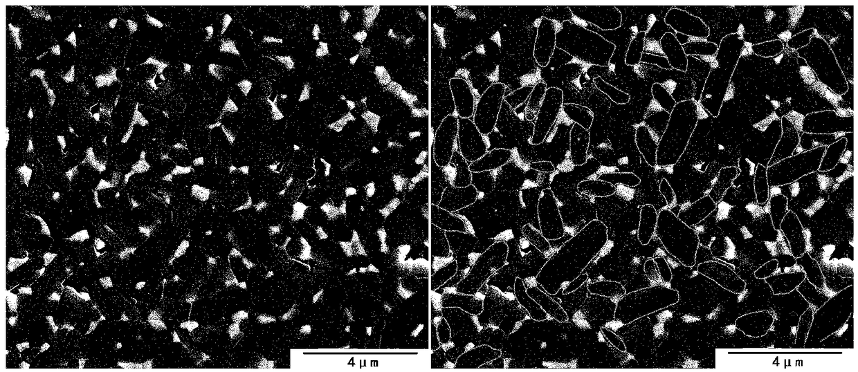 Zirconium dioxide toughened flaky aluminum oxide-based composite ceramic and preparation method thereof