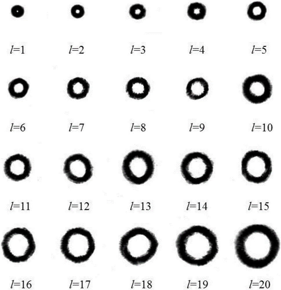 Method for directly generating vortex beam with adjustable order in cavity