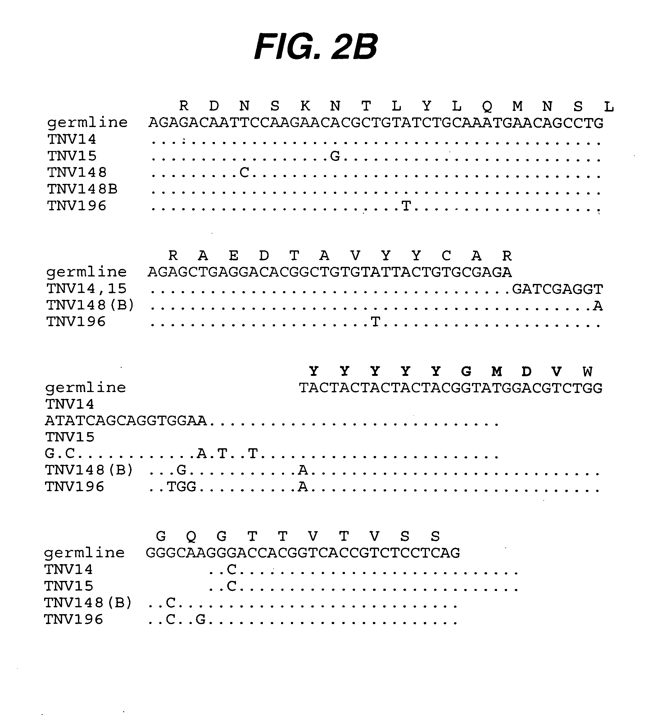 Anti-TNF antibodies, compositions, methods and uses