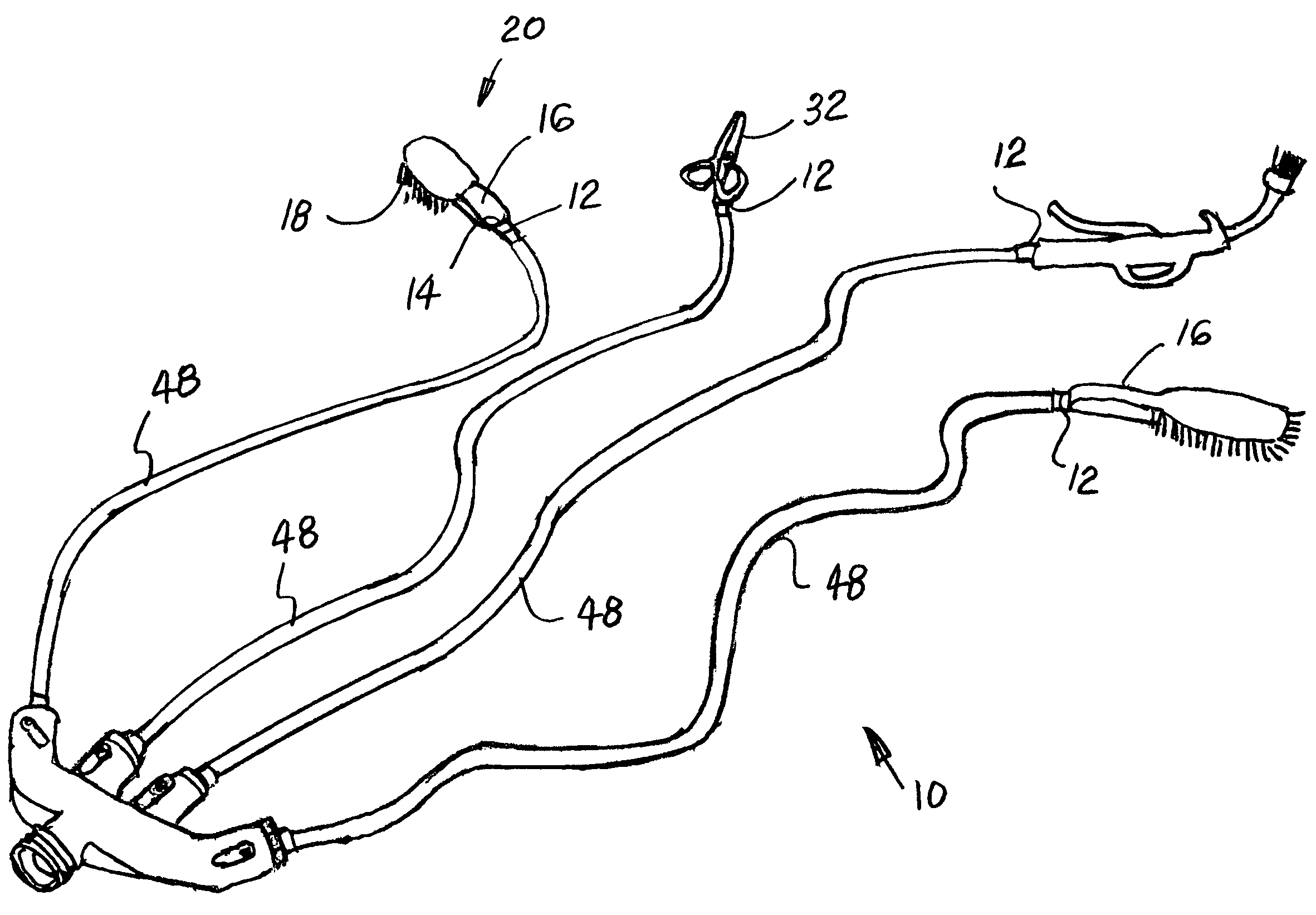 Fish cleaning apparatus