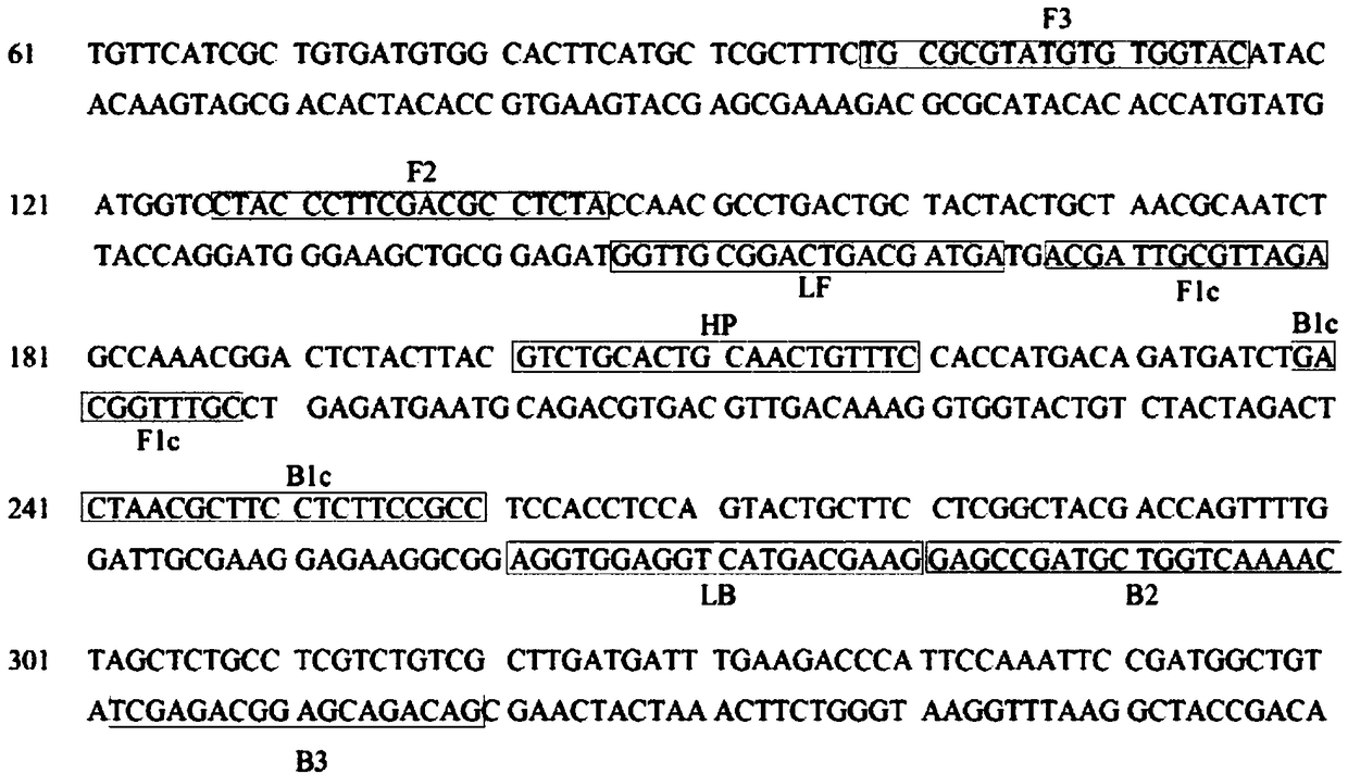 Method for detecting grass carp reovirus by loop-mediated isothermal amplification combined with lateral flow dipstick