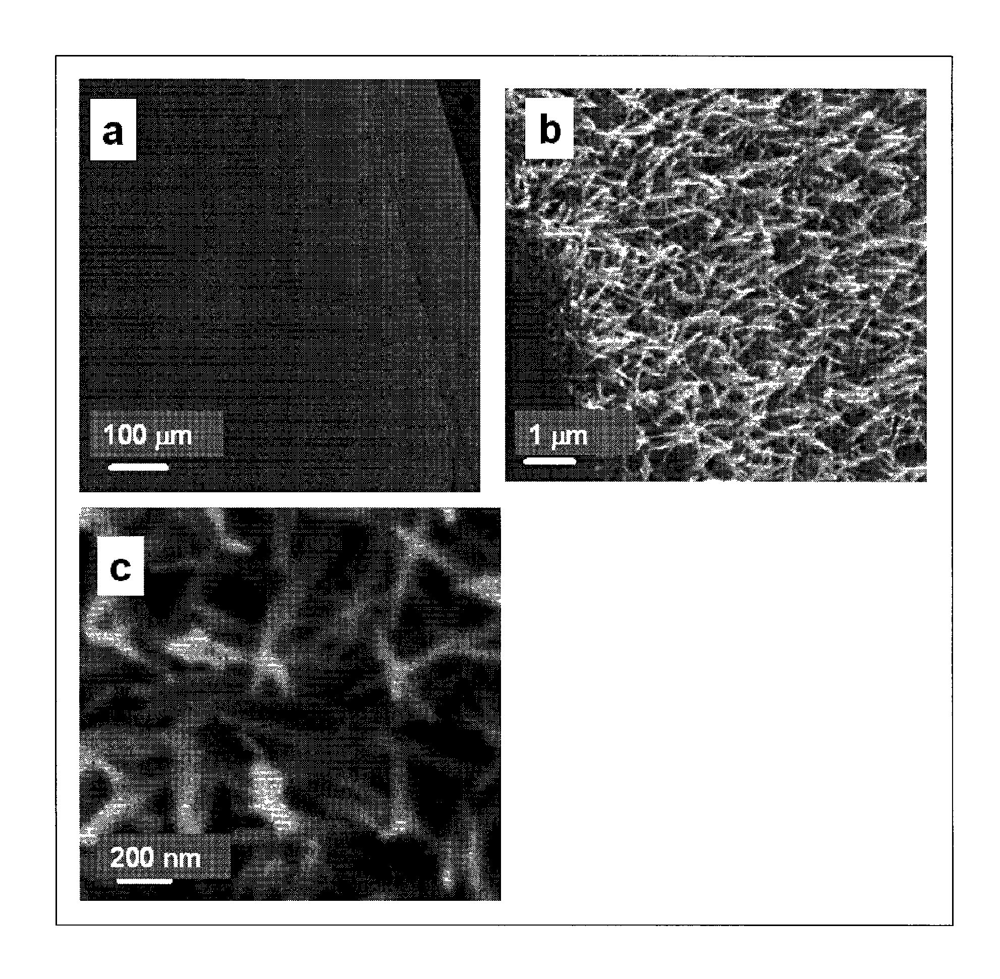 Process for producing nanostructure composite-covered structure, nanostructure composite-covered structure, and reactor using nanostructure composite-covered structure